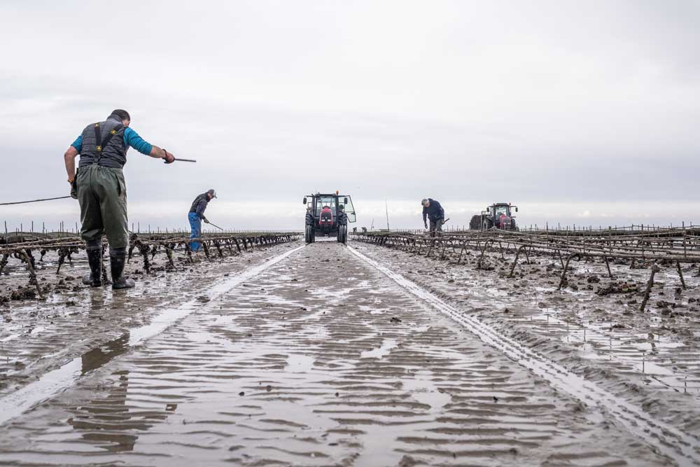 Reportage artisans Nicolas Alvarez photographe La Rochelle